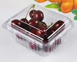 水果吸塑包装盒